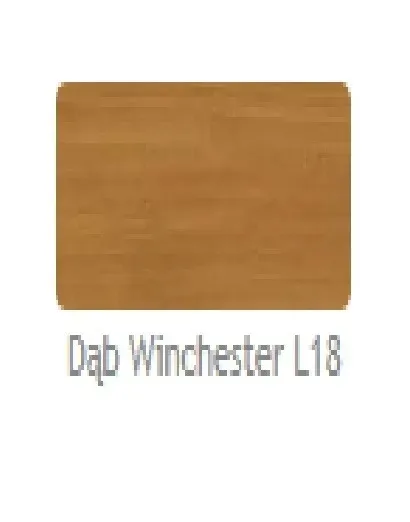 vidaron-lakierobejca-25l-dab-winchester