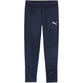 nd05-s12632-l-658639-06-spodnie-meskie-puma-team