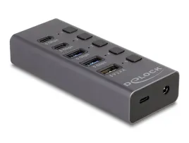 delock-64248-huby-i-koncentratory-usb-3-2-gen-1-3-1-gen-1-type-c-5000