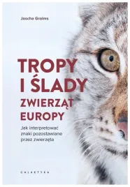 tropy-i-slady-zwierzat-europy