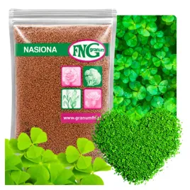 mikrokoniczyna-nasiona-koniczyna-drobnolistna-na-trawnik-500g-zageszczajaca