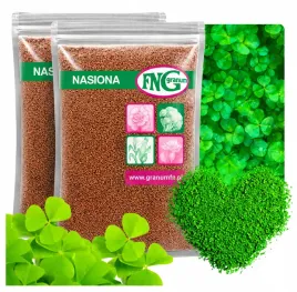 mikrokoniczyna-otoczkowana-drobnolistna-koniczyna-dekoracyjna-trawnik-1kg