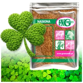 mikrokoniczyna-koniczyna-drobnolistna-biala-nasiona-500-g-zageszczajaca