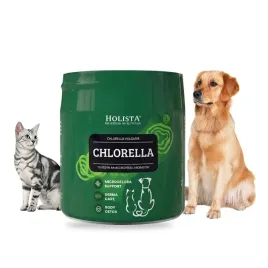holista-chlorella-chlorofil-nieswiezy-oddech-zapach-barf-dla-psa-kota-100g