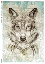 papier-ryzowy-animals-0190-a4