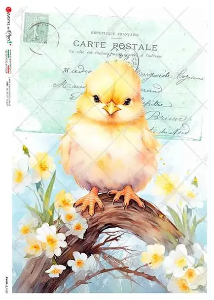 papier-ryzowy-animals-0238-a4