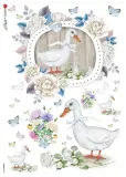 papier-ryzowy-animals-0075-a4