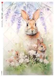 papier-ryzowy-animals-0232-a5