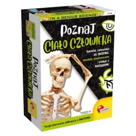 maly-geniusz-poznaj-cialo-czlowieka-lisciani-7