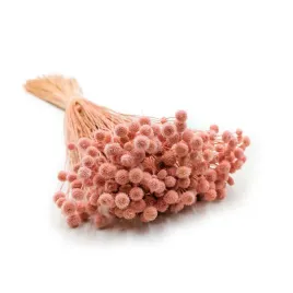 botao-amarelino-amarelinho-rozowe