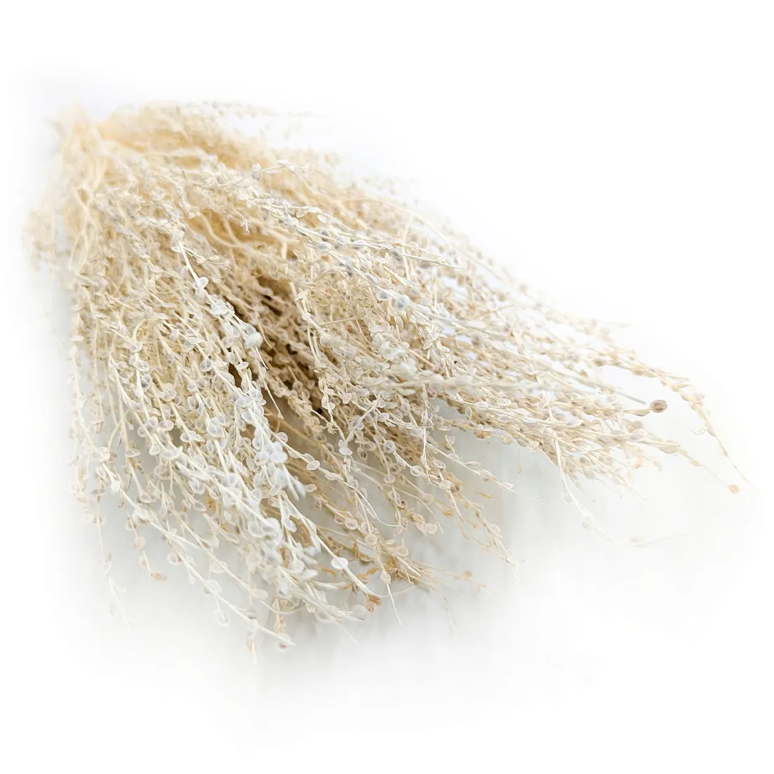lepidium-lepidium-sativum-bielone-stan-nowy
