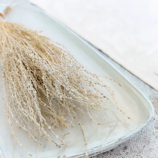 lepidium-lepidium-sativum-bielone-stan-nowy