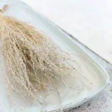 lepidium-lepidium-sativum-bielone-stan-nowy
