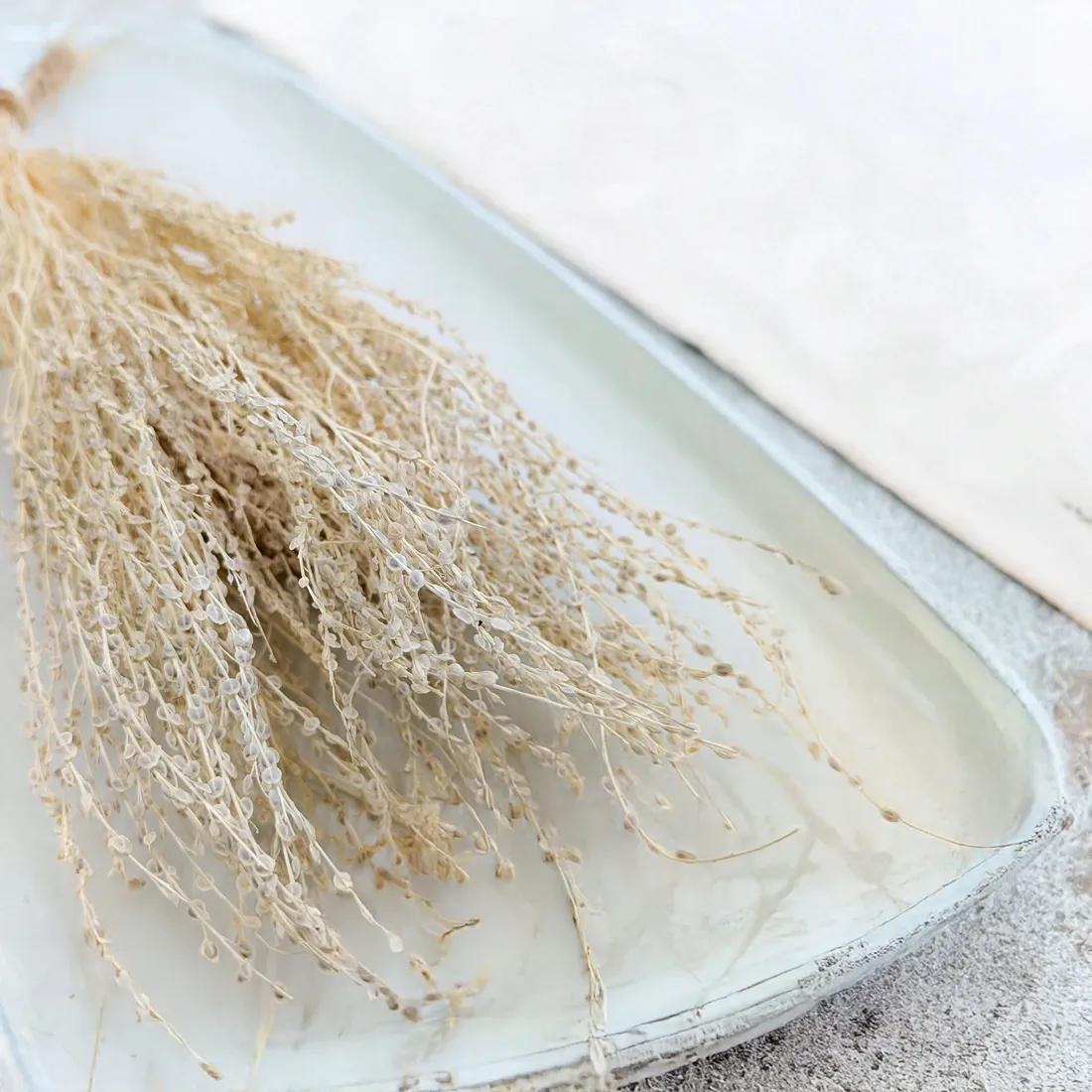 lepidium-lepidium-sativum-bielone