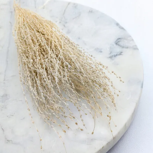 lepidium-lepidium-sativum-bielone-kod-producenta-lepidium-bielone