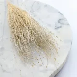 lepidium-lepidium-sativum-bielone-kod-producenta-lepidium-bielone