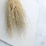 lepidium-lepidium-sativum-bielone-wysokosc-maksymalna-60-cm