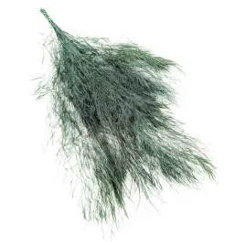 paproc-stabilizowana-drzewiasta