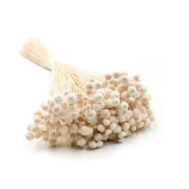 botao-amarelino-amarelinho-biale