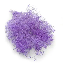 gipsowka-stabilizowana-mini-lila-gypsophila