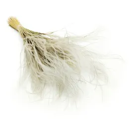 ostnica-piorkowata-stipa-pennata-naturalna