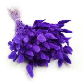 suszony-lagurus-dmuszek-jajowaty-ultra-violet-150szt