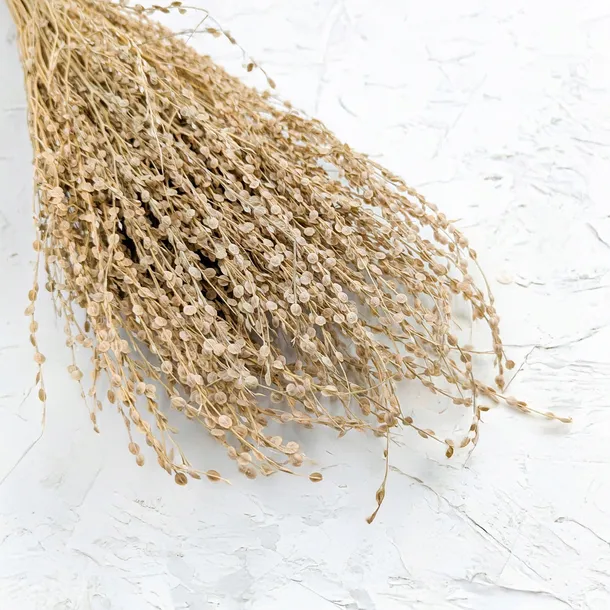 lepidium-lepidium-sativum-naturalne-rodzaj-liscie