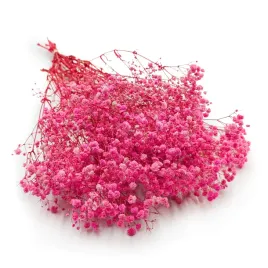 gipsowka-stabilizowana-gypsophila-royal-bouquet-ciemny-roz-100g