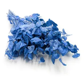lunaria-suszona-niebieska-miesiecznica-suszki-bukiet-diy