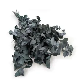 eukaliptus-cinerea-eukaliptus-stabilizowany-popielaty-zielony