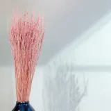 lepidium-lepidium-sativum-rozowe-marka-enchanted