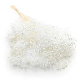 gipsowka-stabilizowana-gypsophila-royal-bouquet-bielona-100g