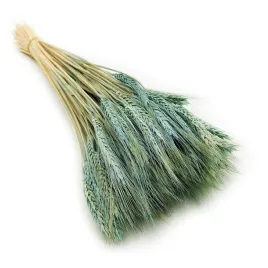 pszenzyto-suszone-mietowe-duzy-bukiet-100g