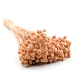 botao-amarelino-amarelinho-brzoskwiniowe