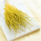 lepidium-lepidium-sativum-zolte-stan-nowy
