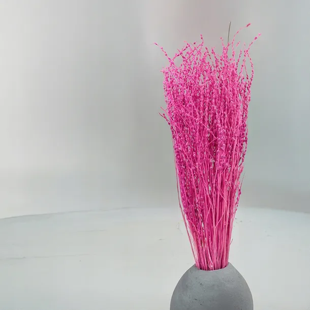 lepidium-lepidium-sativum-fuksja-kolor-rozowy