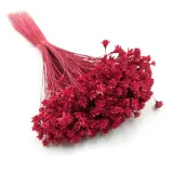 hill-flower-cerwony