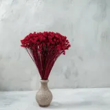 hill-flower-cerwony-kod-producenta-hill-flower-czerwony