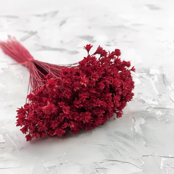 hill-flower-cerwony-wysokosc-maksymalna-60-cm