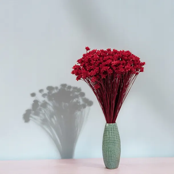 hill-flower-cerwony-kolor-czerwony