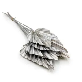 palma-cieta-wachlarz-strzalka-palm-spear-srebro-platyna