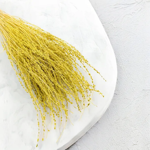 lepidium-lepidium-sativum-zolte-wysokosc-maksymalna-60-cm