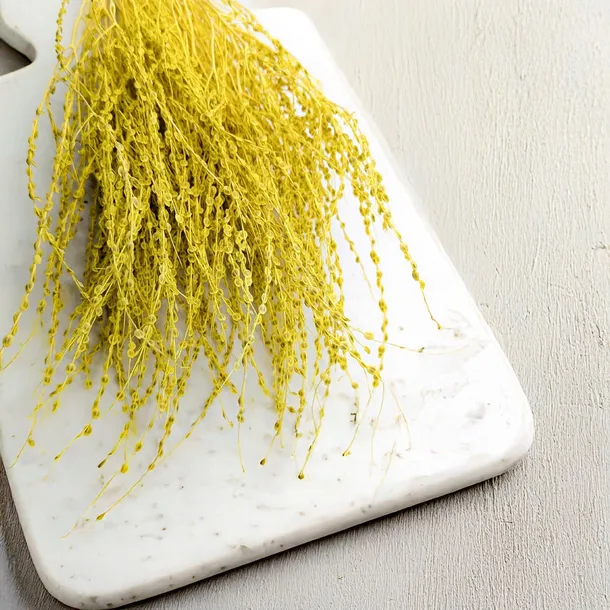 lepidium-lepidium-sativum-zolte-marka-enchanted