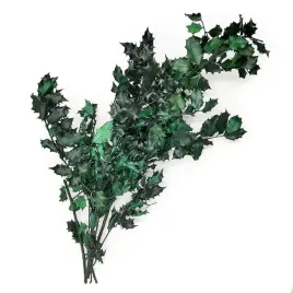 ostrokrzew-zielony-stabilizowany-ilex-bukiet