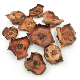 palm-cup-naturalny-paczka-10szt