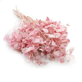 lunaria-suszona-rozowaor-miesiecznica-suszki-bukiet-diy