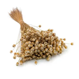 jazilda-naturalna-kwiat-suszony-suszki-susz