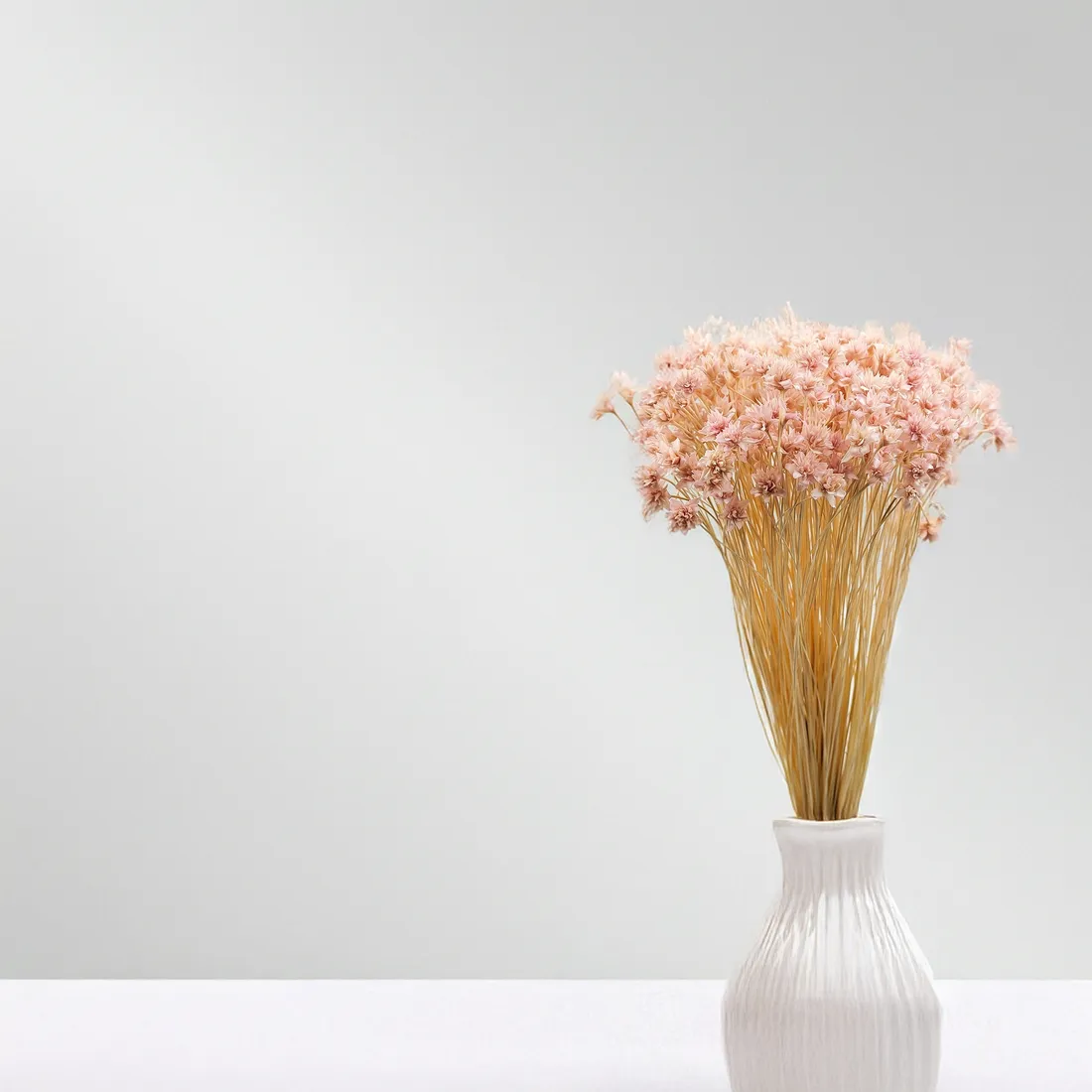 hill-flower-lila