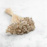 botao-amarelino-amarelinho-biale-kod-producenta-amarelino-biale