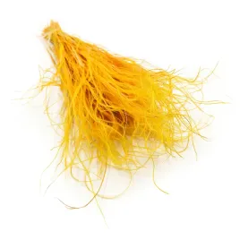 stipa-suszona-ostnica-imbirowa-stipa-pennata-trawa-susz-boho